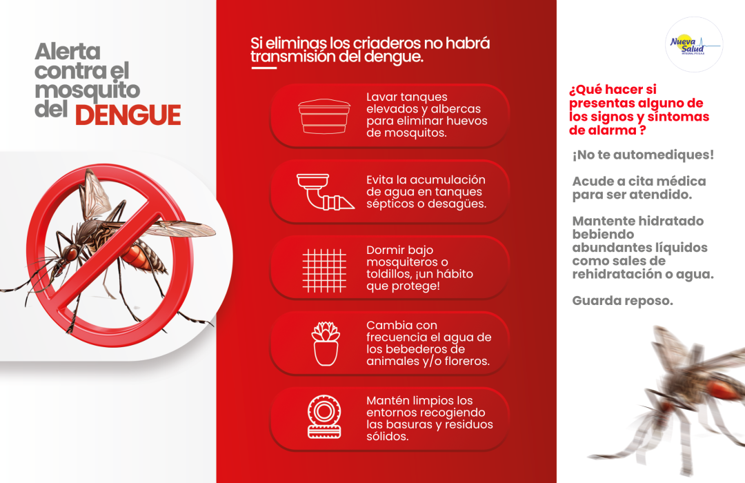 DENGUE 2